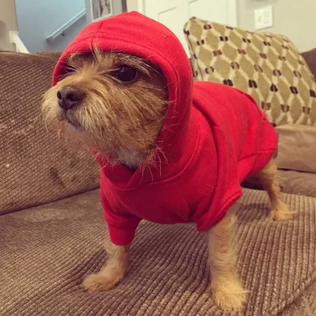 Lil Wicket about to drop the sickest beats of 2012 by earwaxmcgee