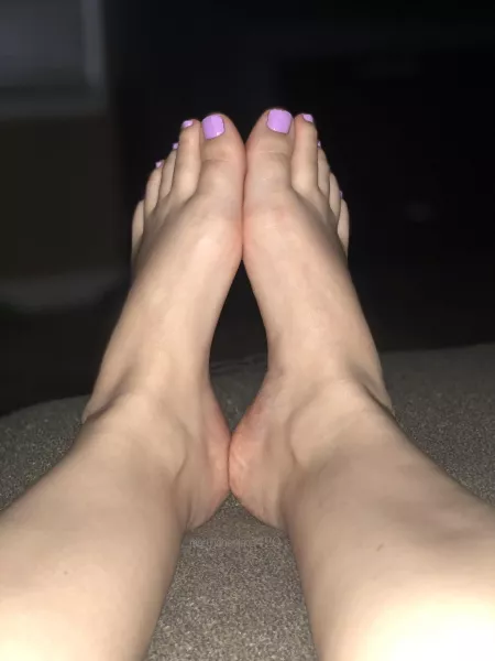 Lilac is such a beautiful color! 🤩 by [deleted]