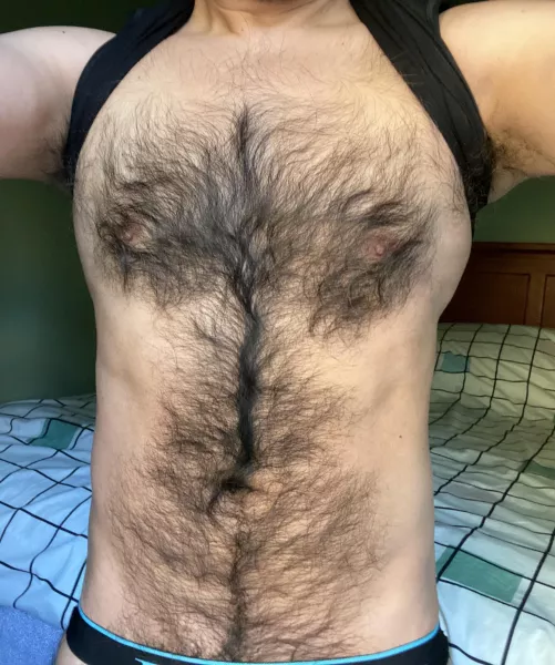 linear fur by NedSeton