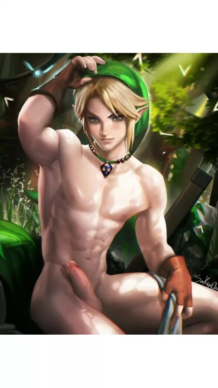 Link is just taking a break from adventuring by fgfr45_g