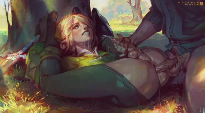 Link's adventures - [zelda] (sabu) by The_Sabu