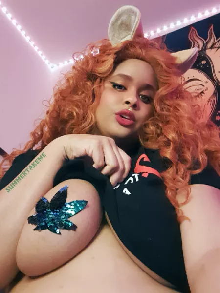 lions are the best cat 💕 by summertakeme