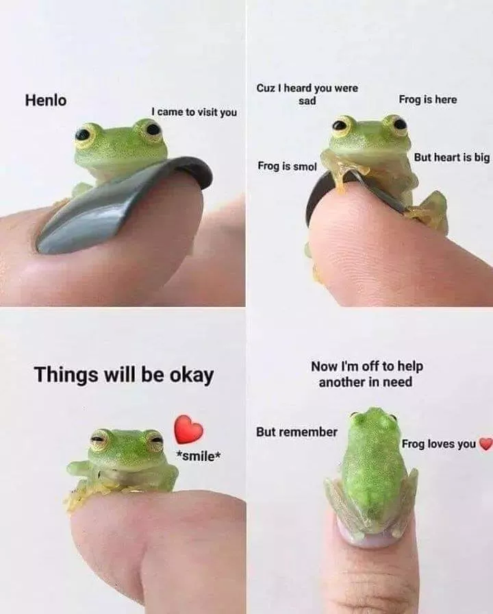 Listen to frog, he knows ❤️ posted by SubbyKuma