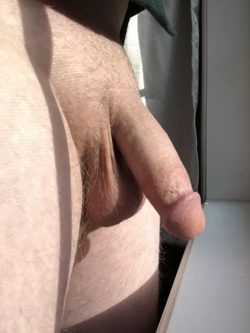 Little afternoon sun by biglumber789