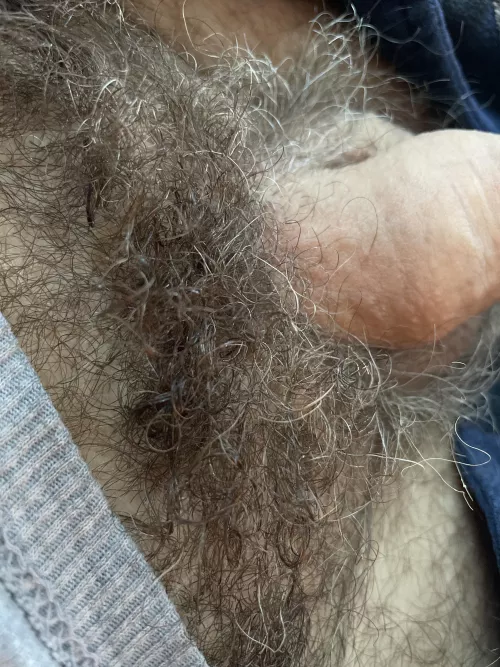 Little bit of fur.., by aergmac