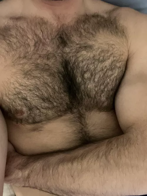 Little chest closeup by 1st-time_caller