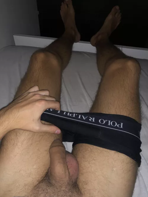 Little Croatian softie by NaturalAutomatic7807