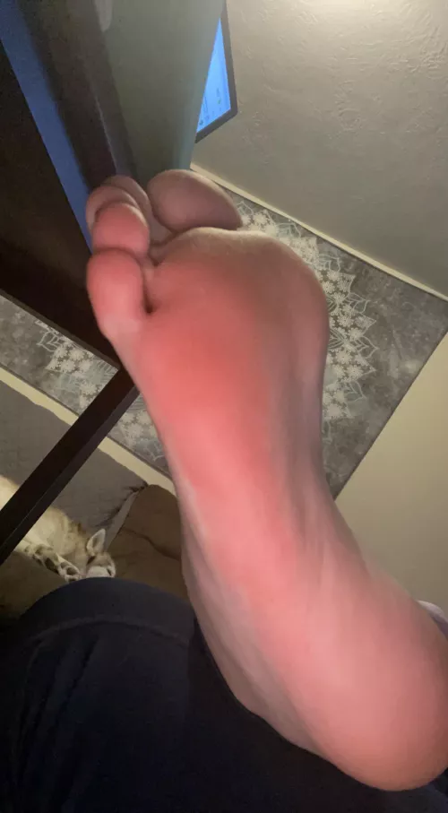 Little early morning arch action by Available_Type9997