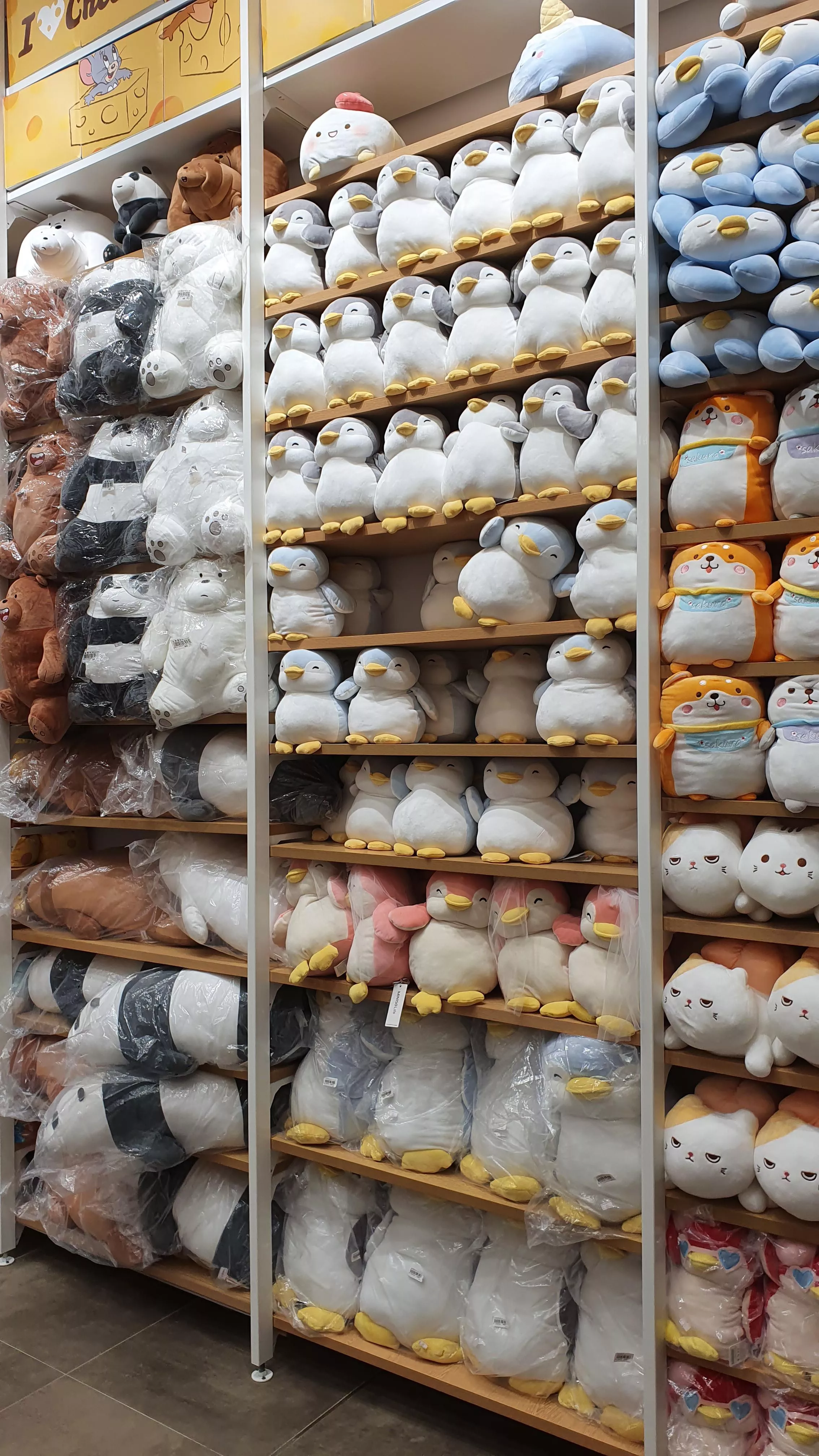 Little girls heaven 🤤 posted by littleMeowgirl