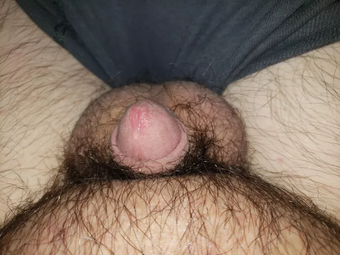 Little guy hanging out and leaking a little [22] by isdisposable169