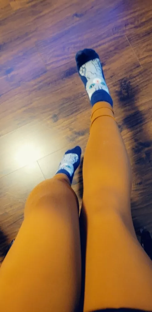 Little kitties =) by foxxcii