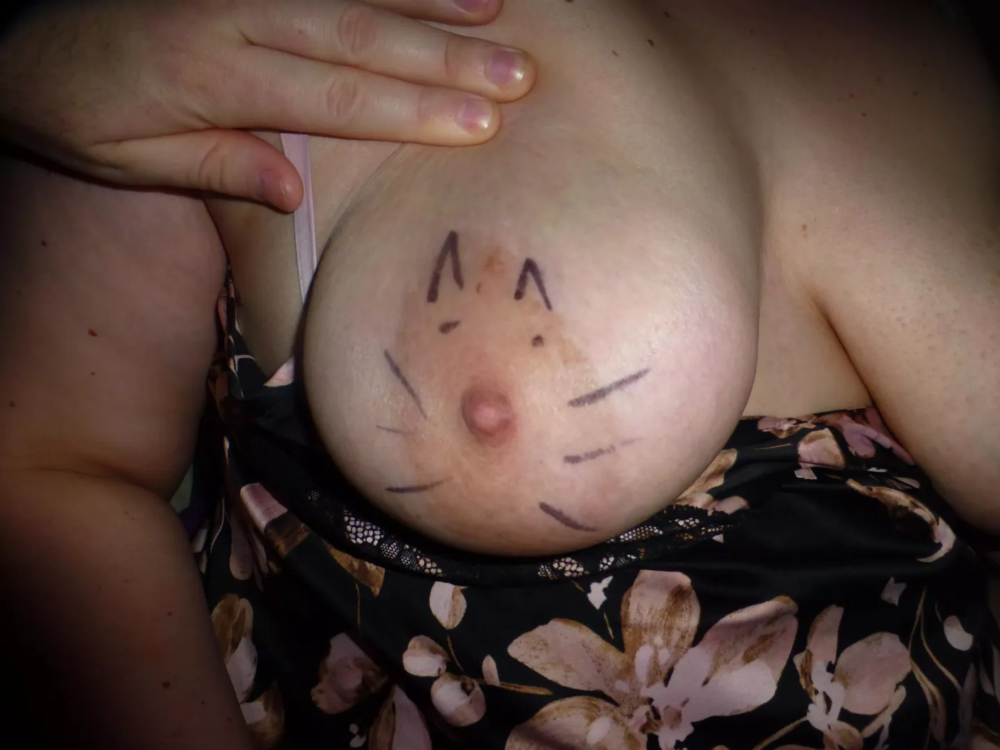 Little Miss Kitty Titty posted by Knits_and_Tits