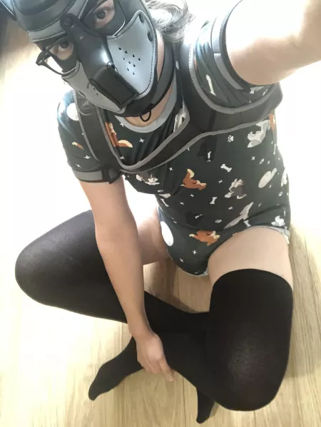 Little pupper! by DLWolfy46