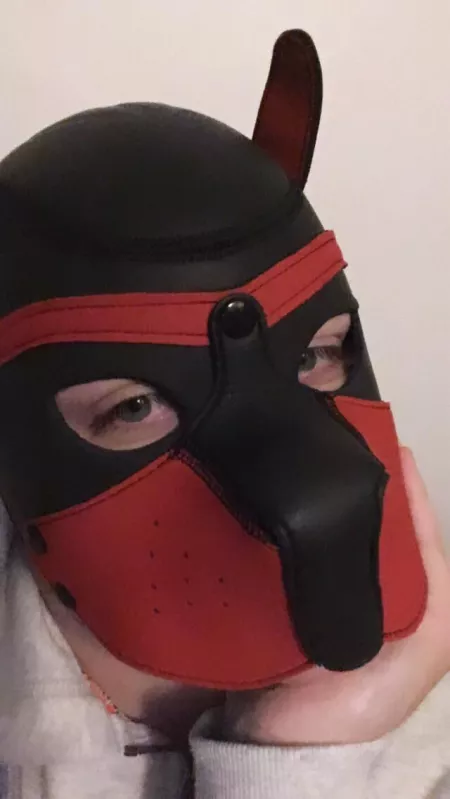 Little puppy here. Just vibing by Little_hunt3r