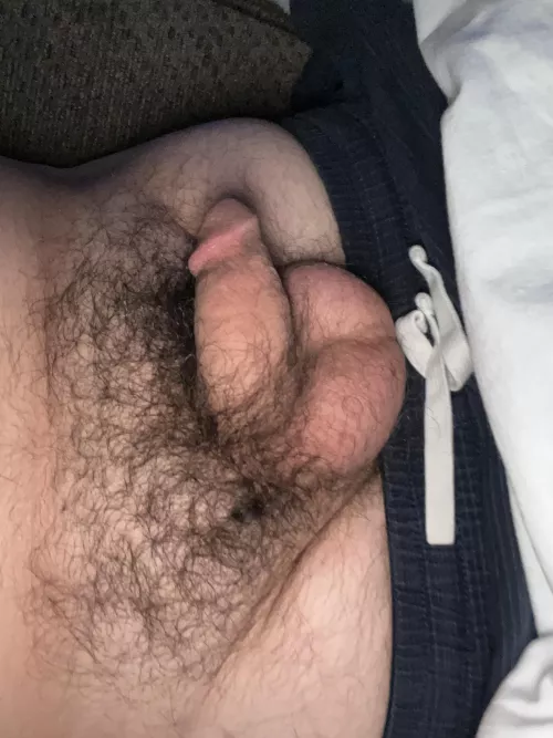 Little softie waiting to get excited 😉 by jja5246b