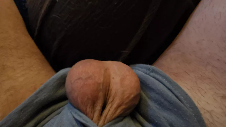 Little walnuts by shortshafted1