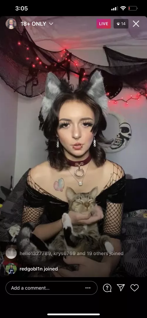 Live rn by Immediate-Ad-80