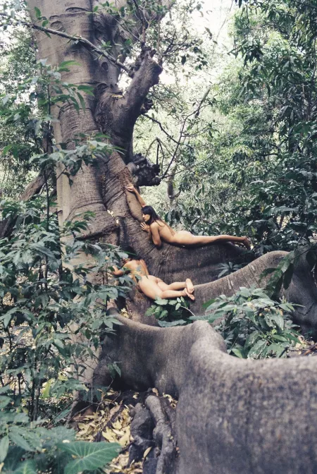 Living Trees by paredocks