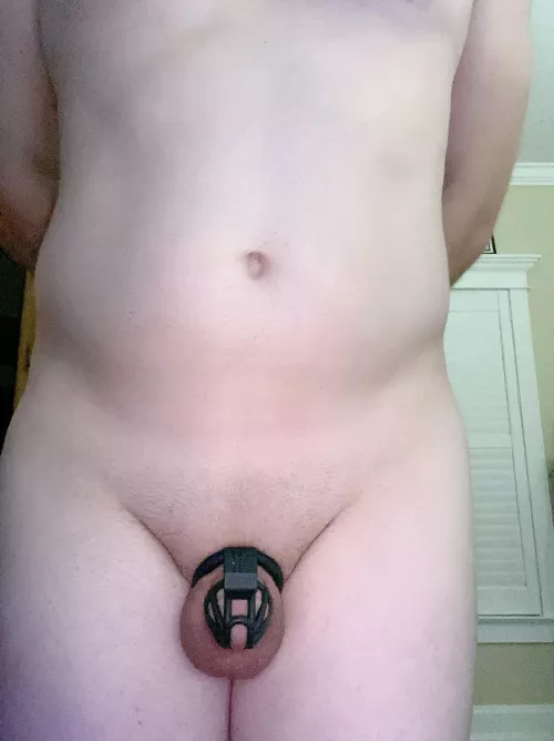 Locked and ready to serve by smallclock11