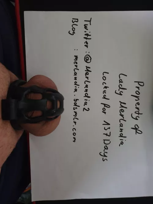 Locked for 137 days with no end (m) by chopono