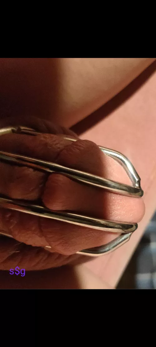 🔐 locked forever by shitsandgigssss