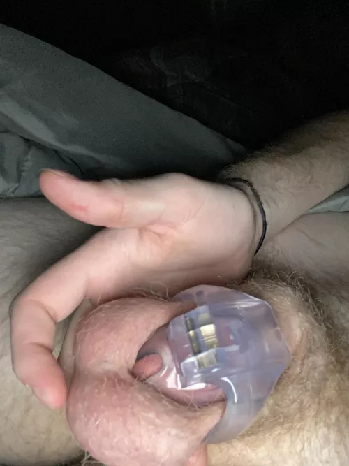 Locked like a good boy 🥰 by SirSpooksalot875