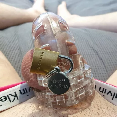 Locked up, panties, and my dog tag. Where he belongs by PrincesssMiax