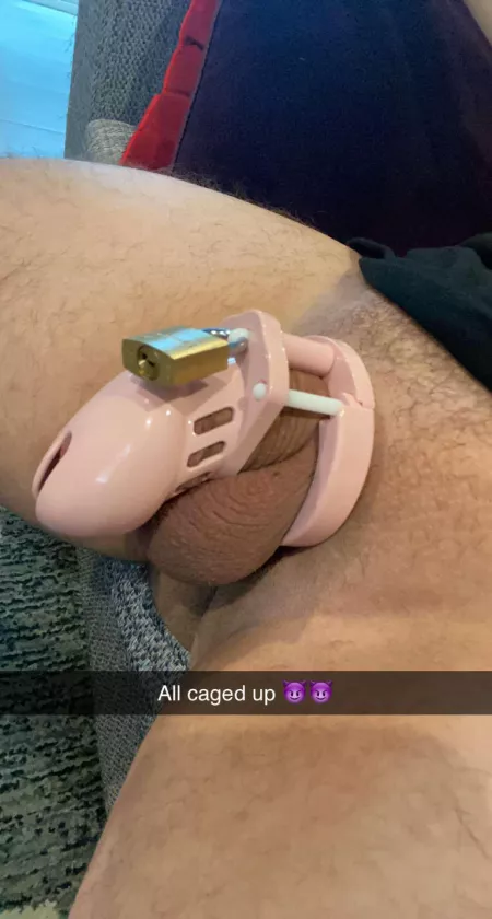 Locked up ready to be bred by clemail92