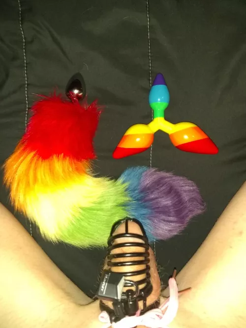 Locktober 16th, Saturday Weekly Event: Butt Plug Day, 3rd weekend, Must complete 6 hour of being plugged! Tomorrow i have off so I'll be wearing my tail to bed tonight... 🌈😘 Happy Locktober! by mr_grey_xiii