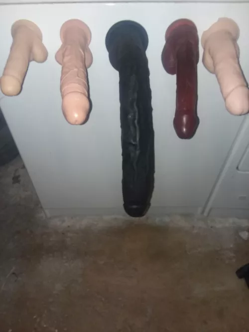 Lol anyone dare? by Open-Activity801