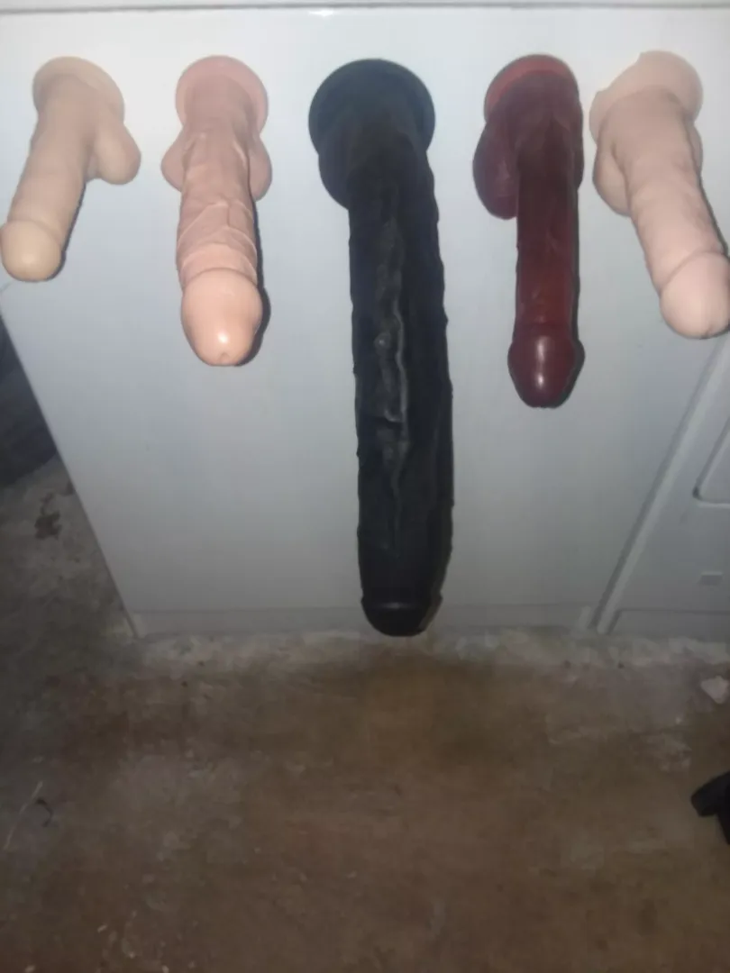 Lol anyone dare? posted by Open-Activity801