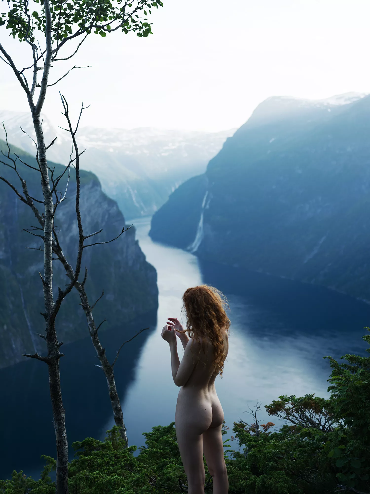 Lone Tree posted by paredocks