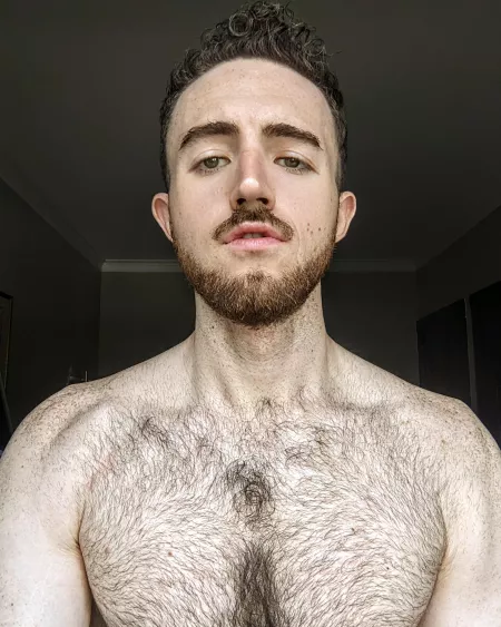 Long day. Send iced coffee and BotW trailers by dreaming_prometheus