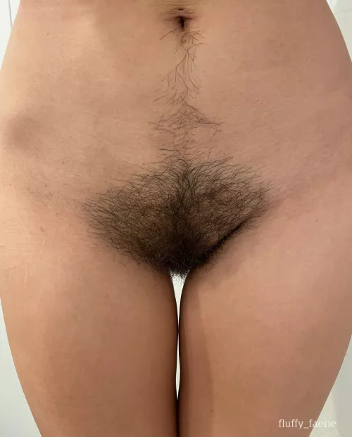 Long live the bush by fluffy_faerie