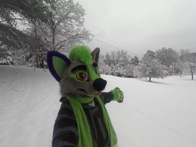 Look at all this free cocaine!!! by Spector_wolf