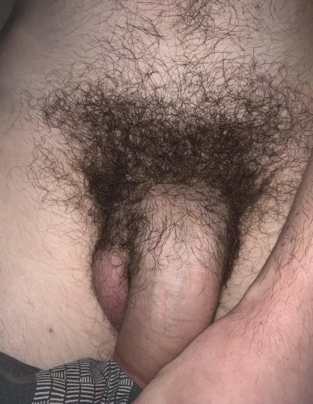 Look at my hairy cock by Short_Oil