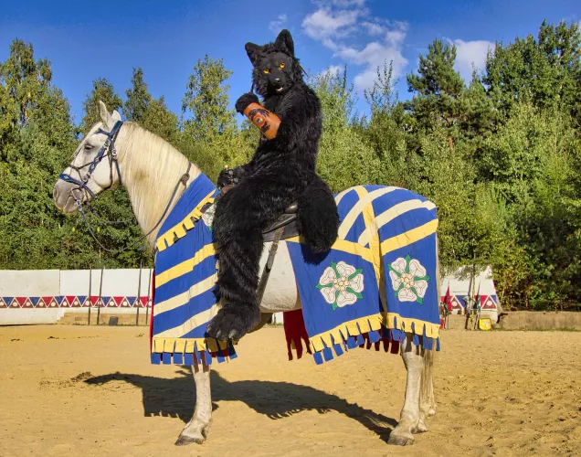 Look at my horse, my horse is amazing... by globusak