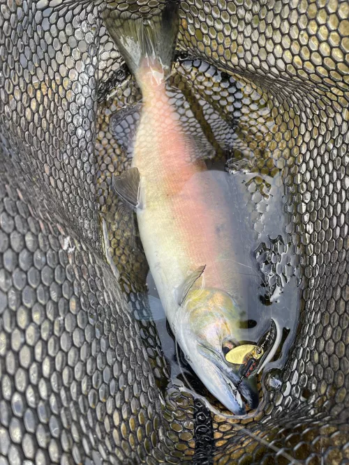 Look at that fishnet! by Willdethrill1