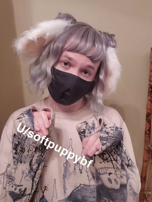 Look how cute my new ears are 🥰🖤🐶 who wants to play? by softsoftpup