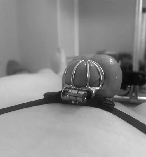 Look how tiny my dick is! My balls stick out further than the cage. It's no wonder I'm a sissy by sds8201