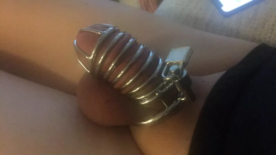 Look what came in the mail today… by georgemason234