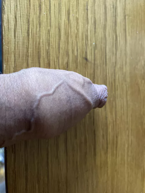 Lookin for some love. by Swanbaps1