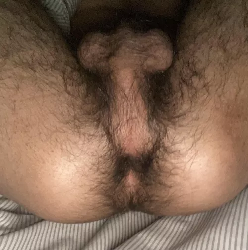 Looking for a long term daddy by Japknox