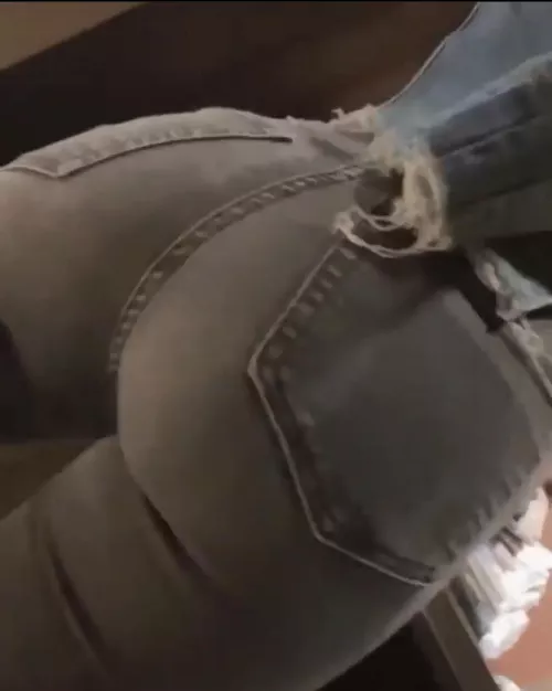 Looking for a new bull for my girlfriend ! by Eltomie