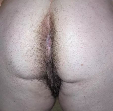 Looking for a plug! by lovleylavender