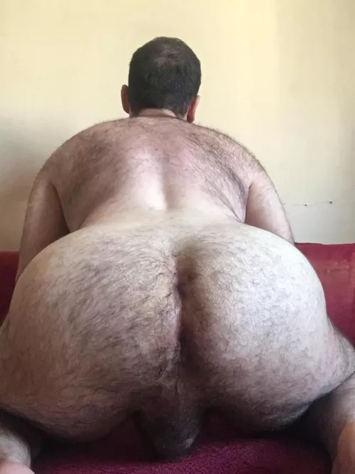 Looking for a ride ? by altboyjs