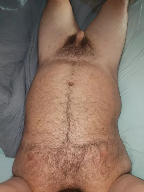 Looking for a snuggle buddy! by sasquatch19901