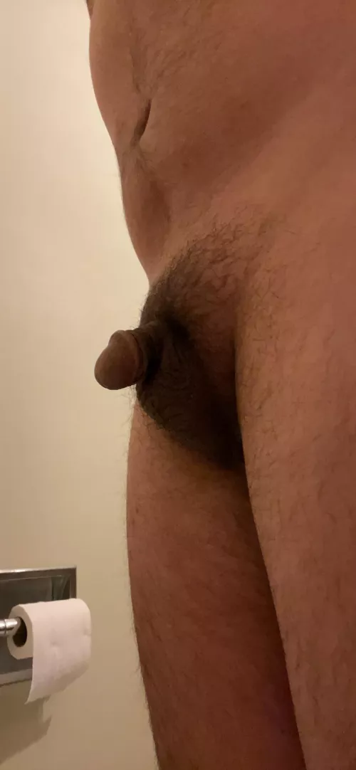 Looking for alpha hung men to degrade and humiliate my cock. DM. Looking for chat with hung tops into incest chat. Snap in profile by Culture4204
