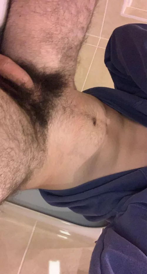 Looking for hairy guys. Msg me. by sharry_18