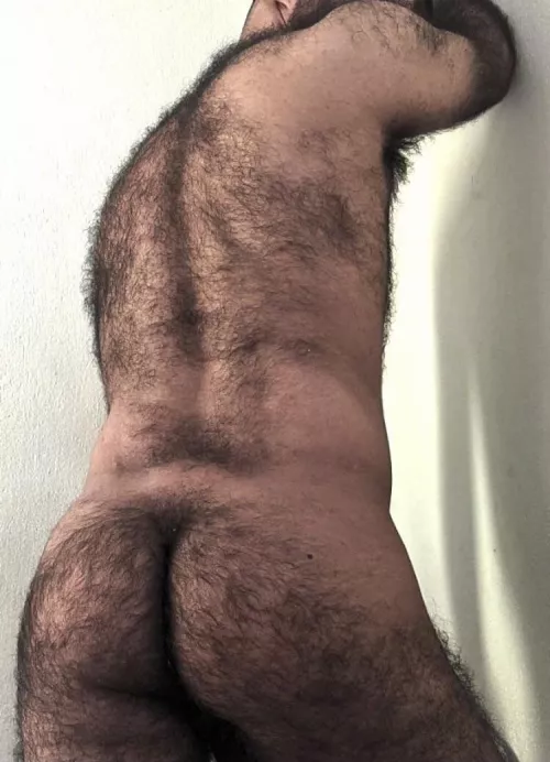 Looking for other big hairy smelly dudes for raw mansex by manstinklover